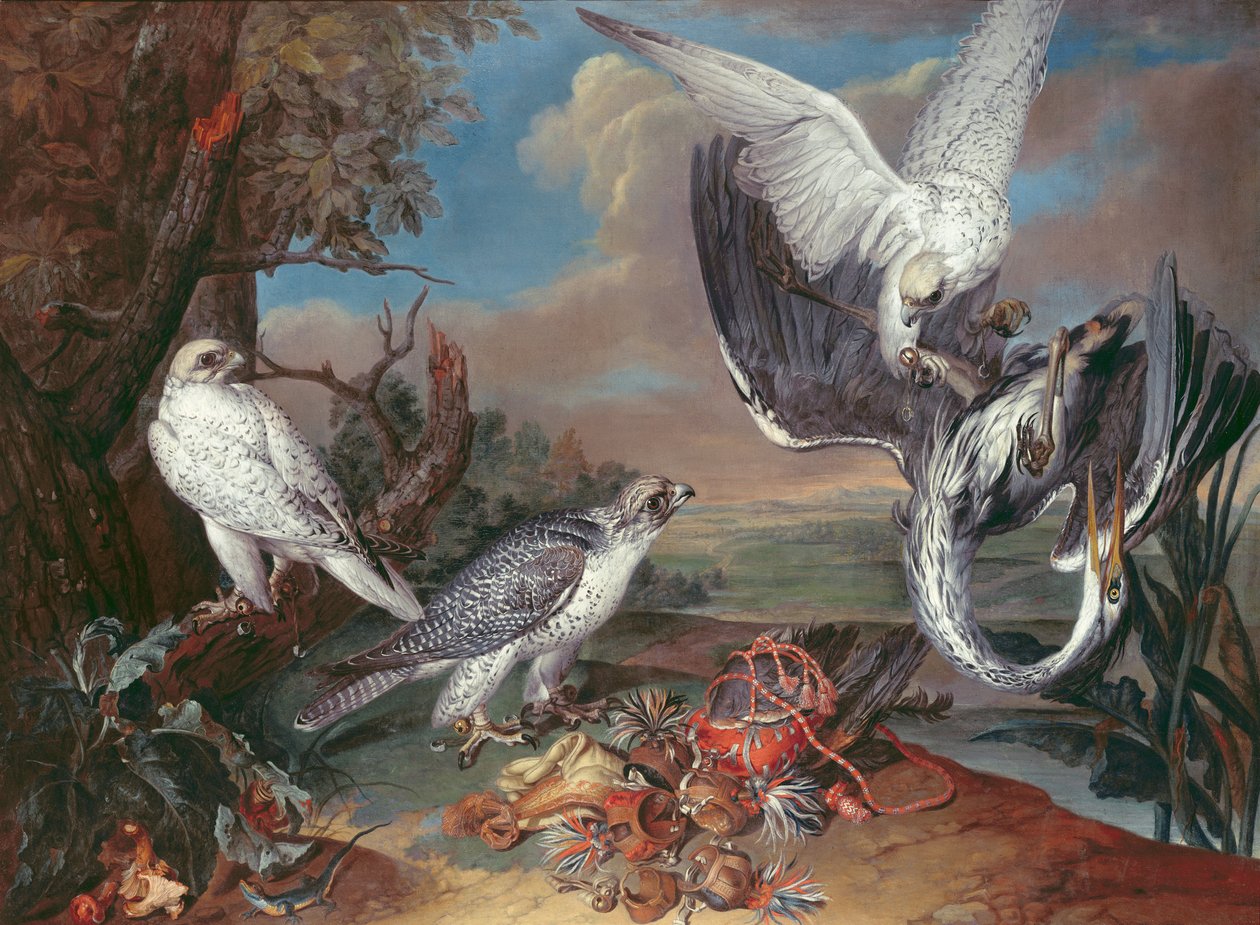 Halcón cyr de Groenlandia de Ferdinand Phillip de Hamilton