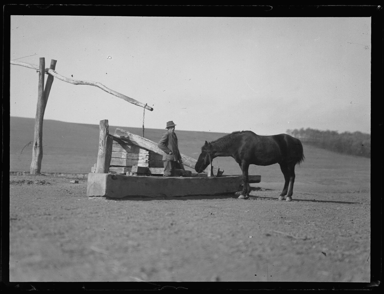 Caballo en la charca de Ferdinand Schmutzer