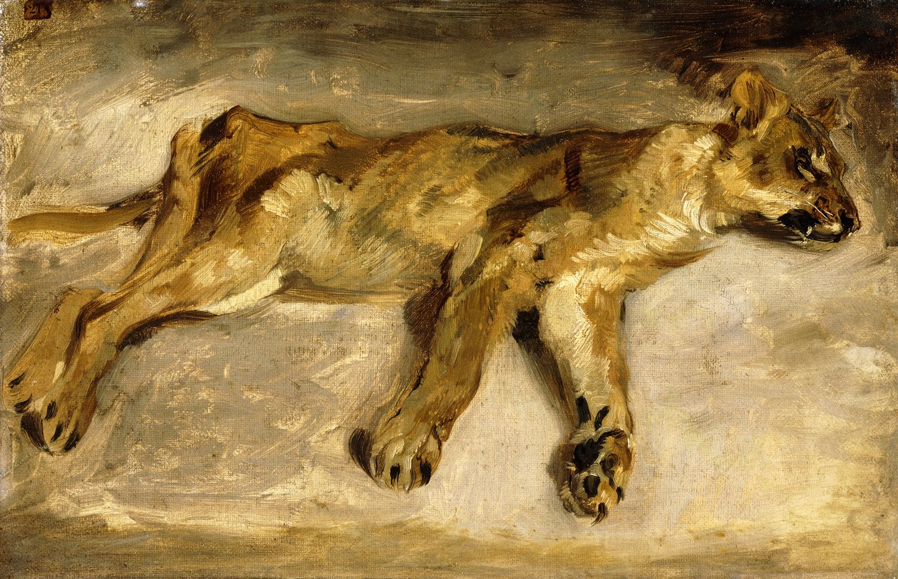 Una Leona Durmiendo, c.1830 de Ferdinand Victor Eugene Delacroix