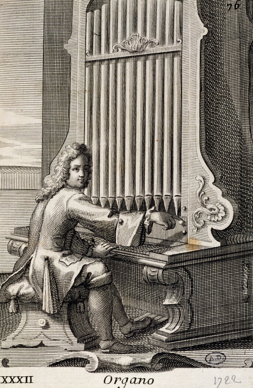 Hombre tocando el órgano de Filippo Bonanni