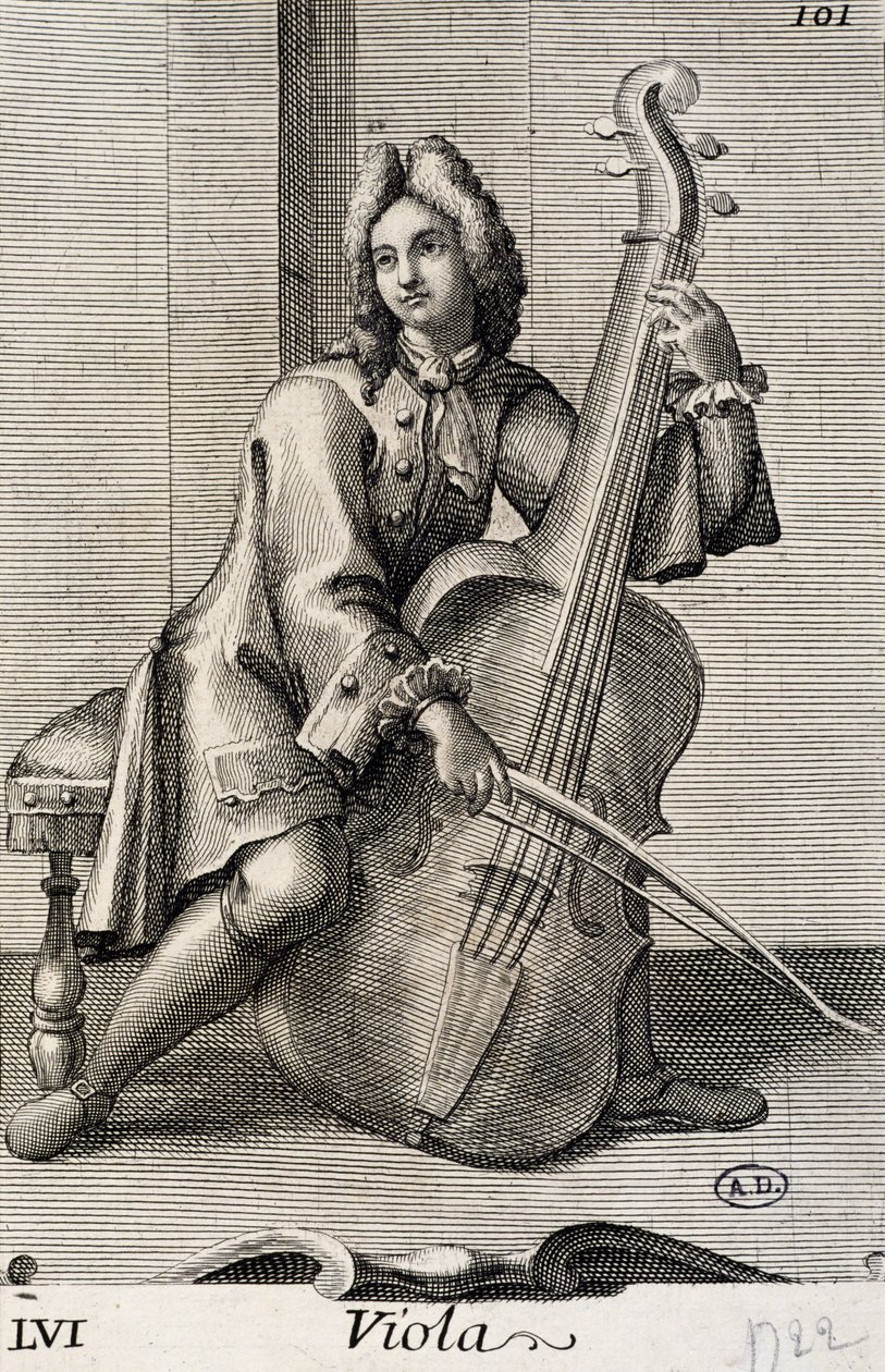 Hombre tocando la viola de Filippo Bonanni