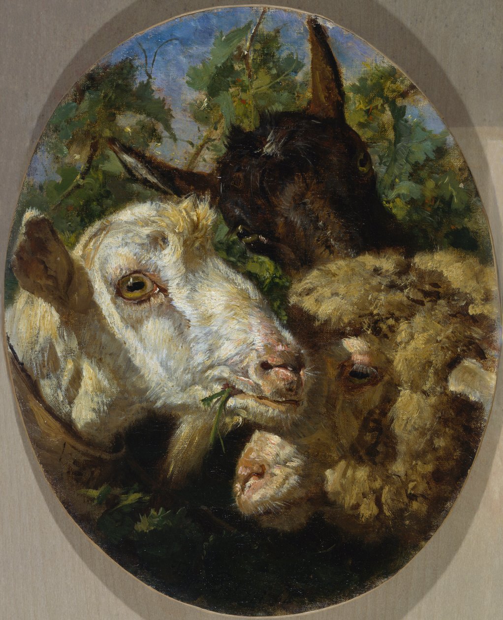 Cabezas de animales de Filippo Palizzi