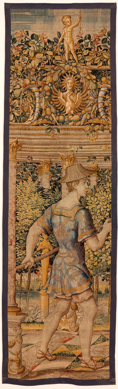 Galería de viñas TA67 2 de Flemish School