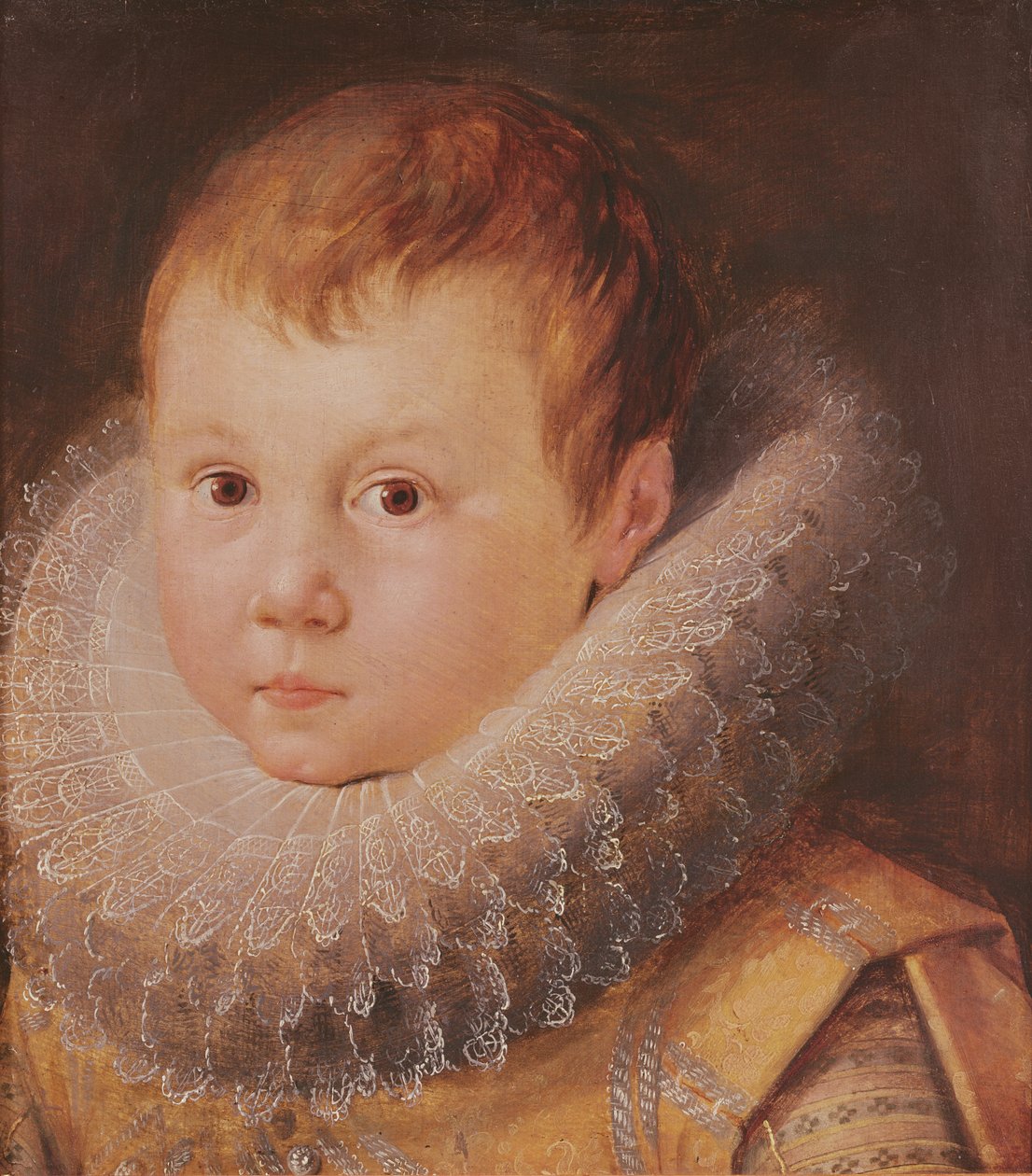 Retrato de un niño de Flemish School
