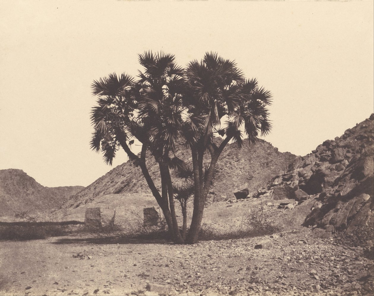 Egipto y Nubia. Sitios y monumentos de Félix Teynard