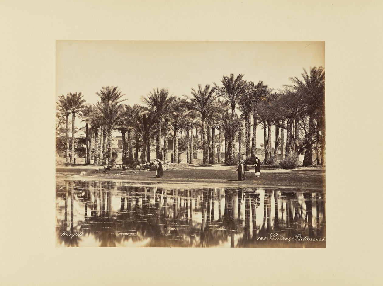 El Cairo, Palmeras de Félix Bonfils