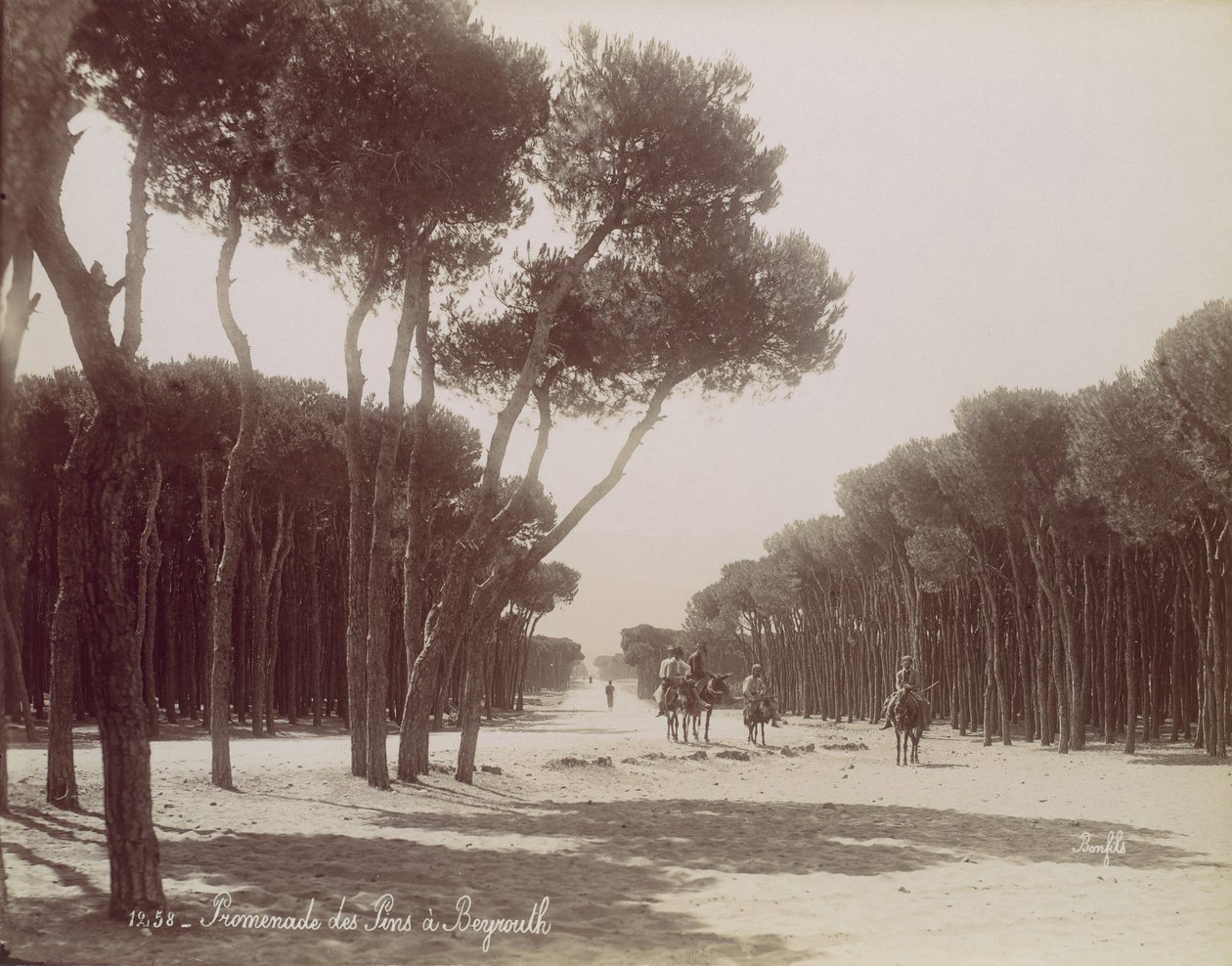 Paseo de los Pinos en Beirut, ca. 1870 de Félix Bonfils