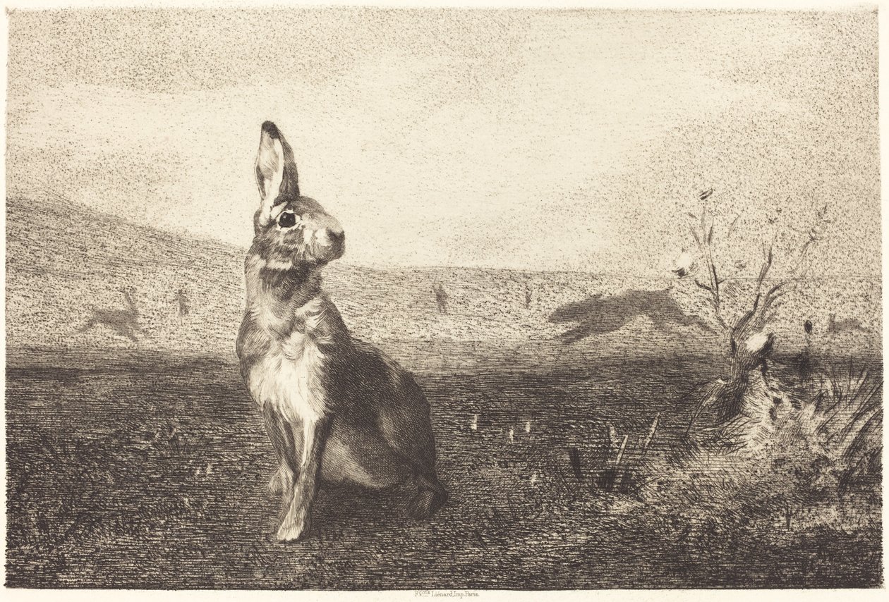La Liebre de Félix Bracquemond after Albert de Balleroy