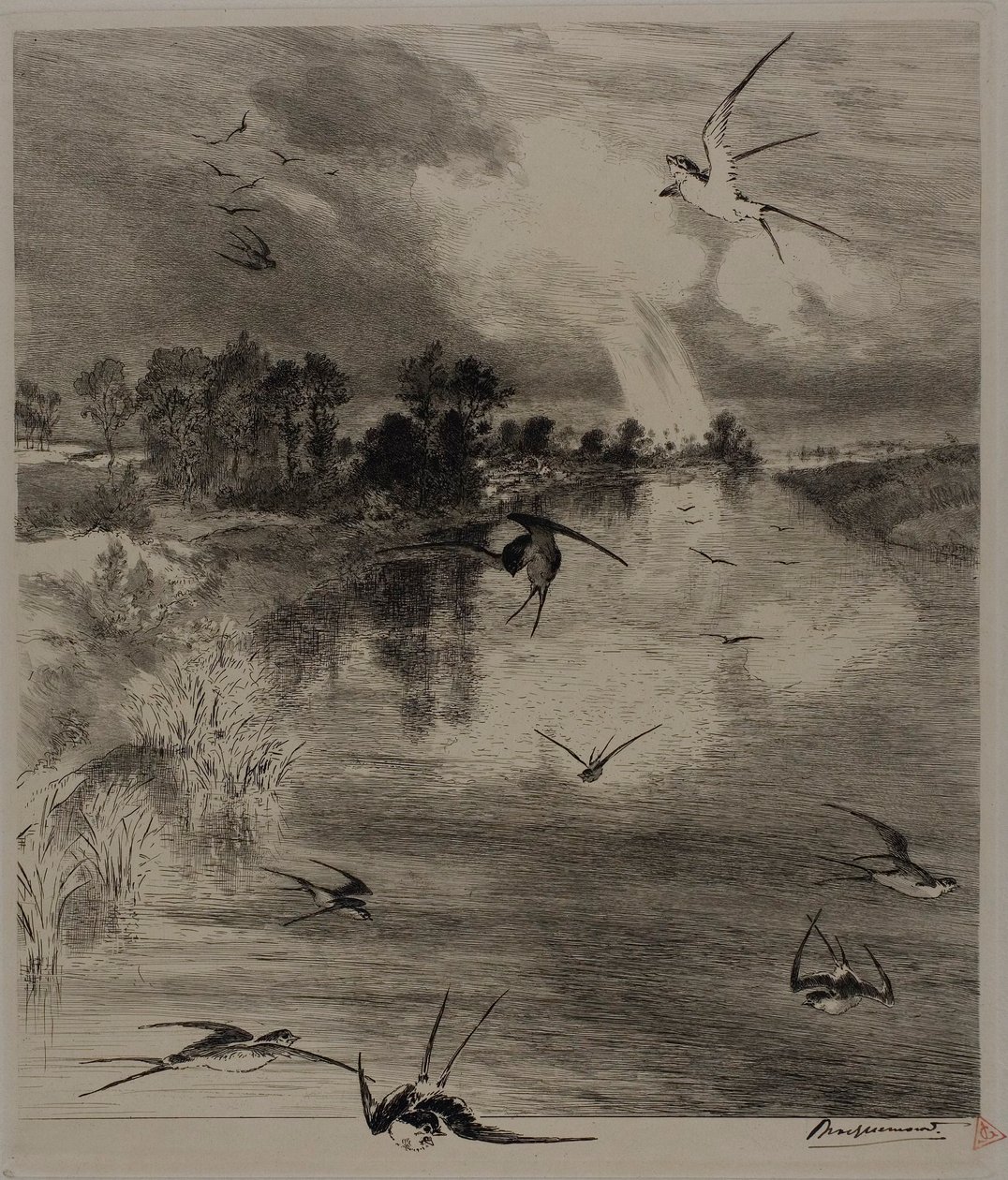 Golondrinas de Félix Henri Bracquemond