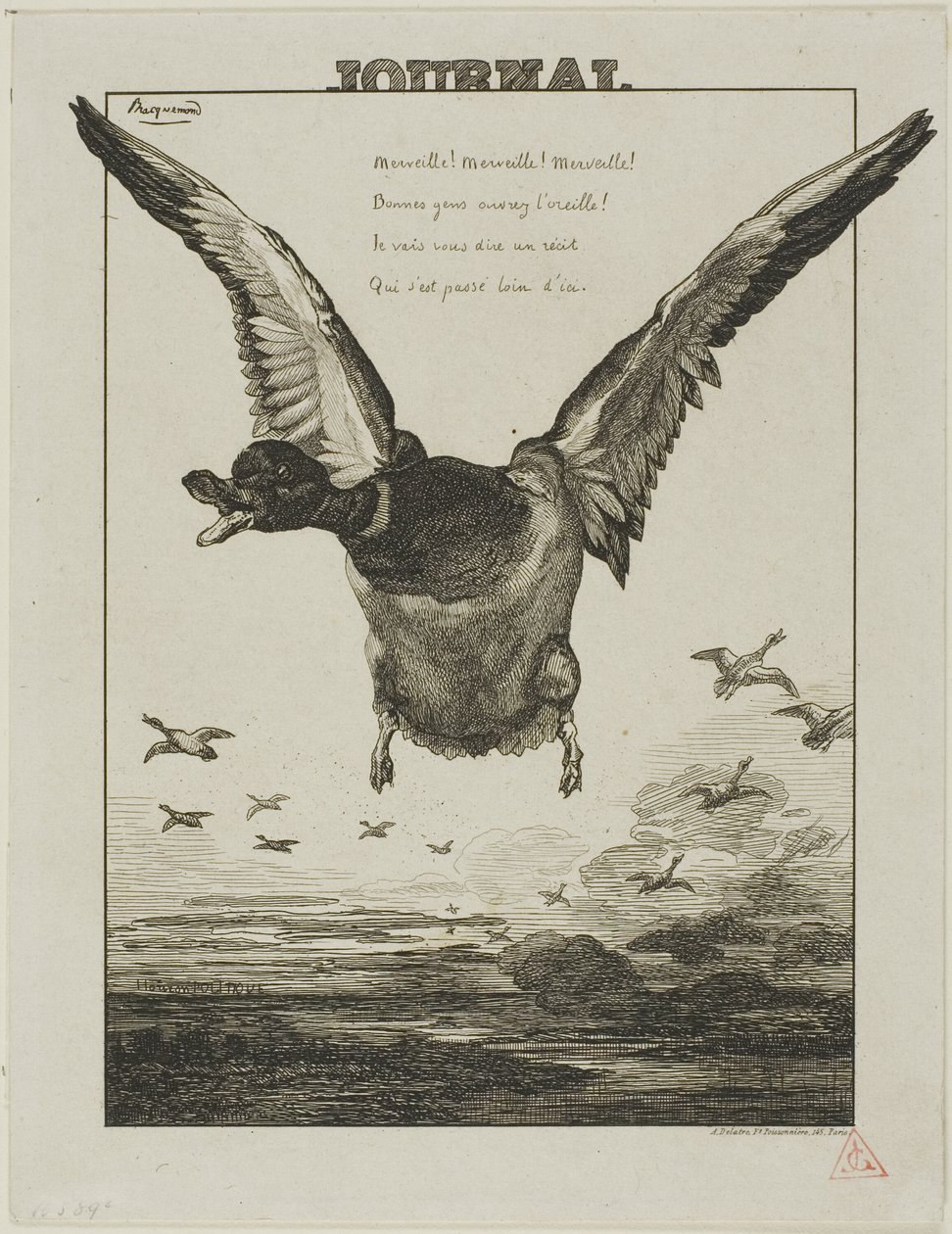El Pato de Félix Henri Bracquemond