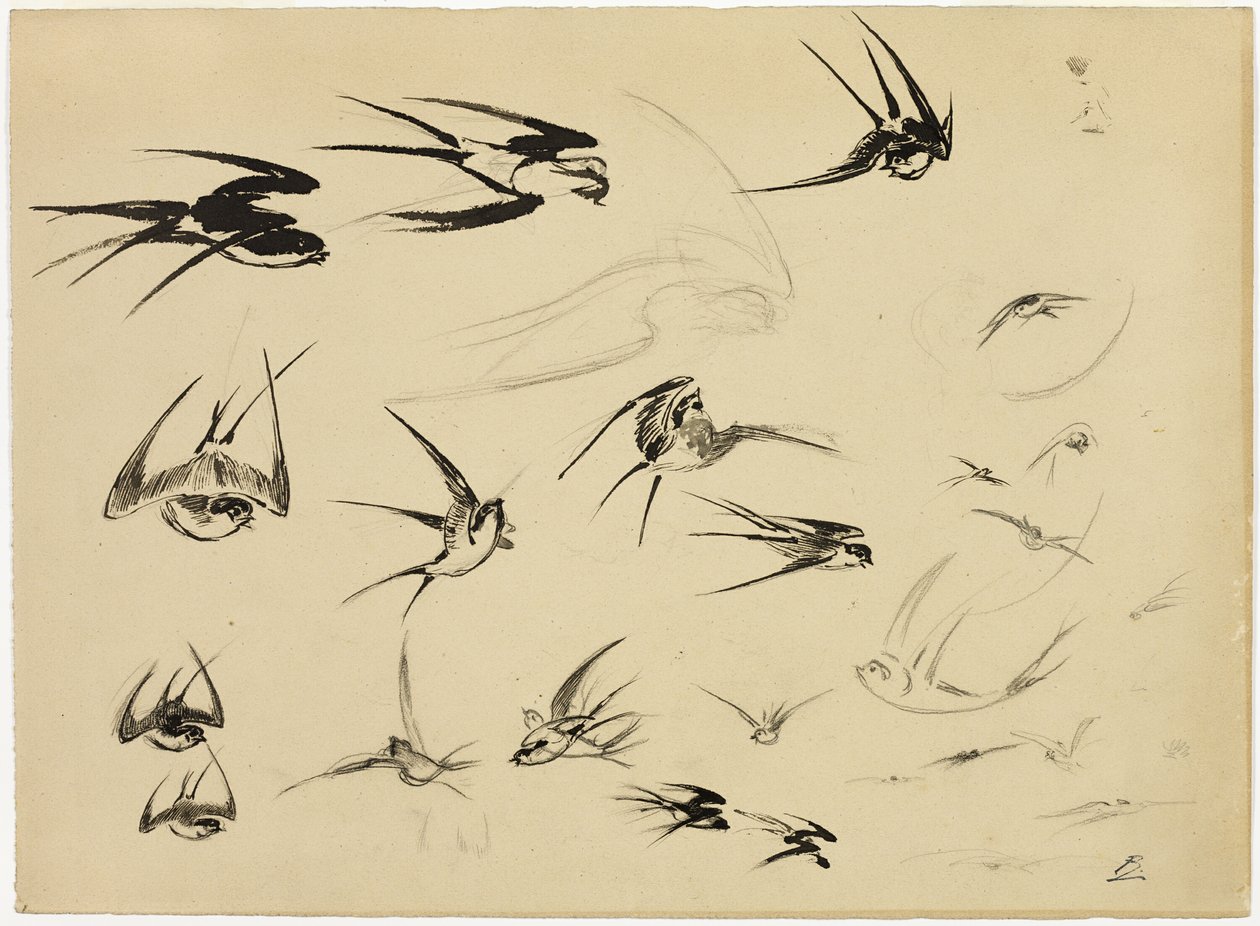 Las golondrinas de Félix Henri Bracquemond