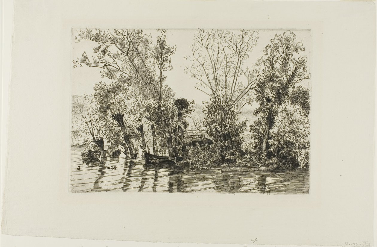 Los sauces de Mottiaux de Félix Henri Bracquemond
