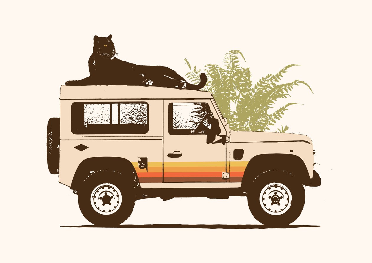 Pantera negra en coche de Florent Bodart