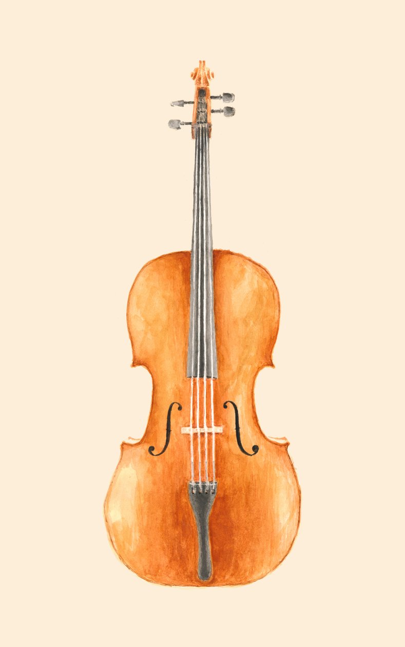 Violoncelo de Florent Bodart