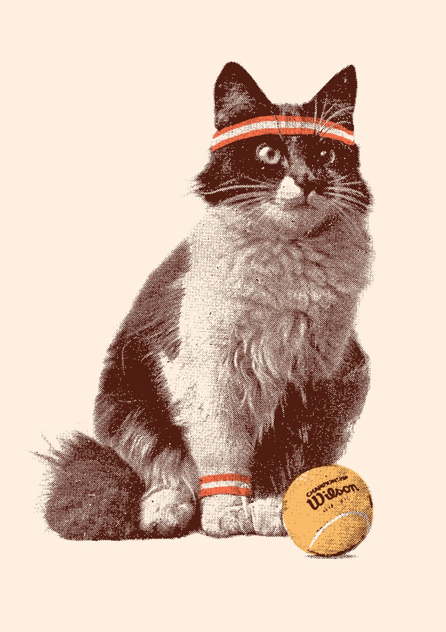 Tenis Gato, 2021 (digital) de Florent Bodart