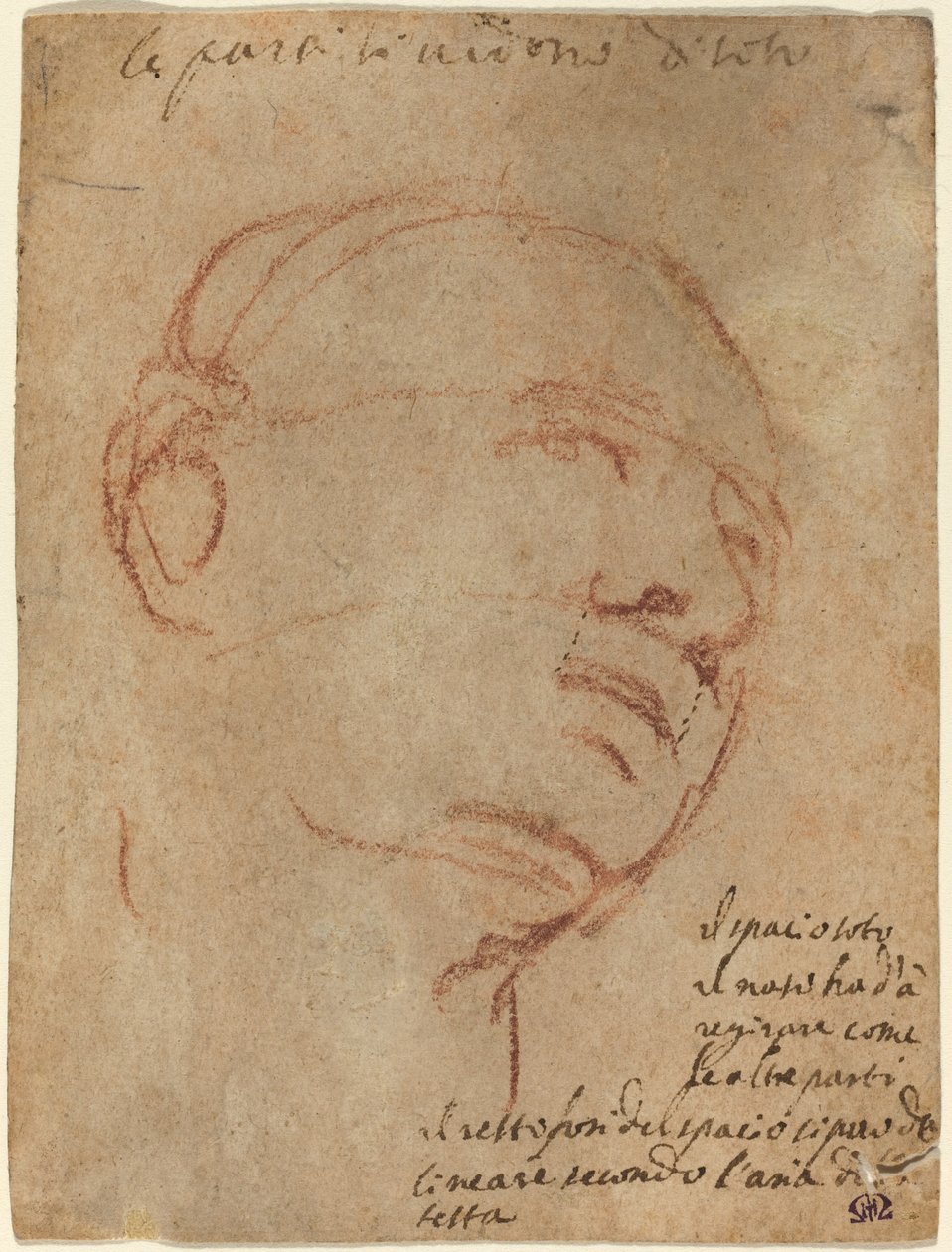 Cabeza de un hombre de Follower of Michelangelo