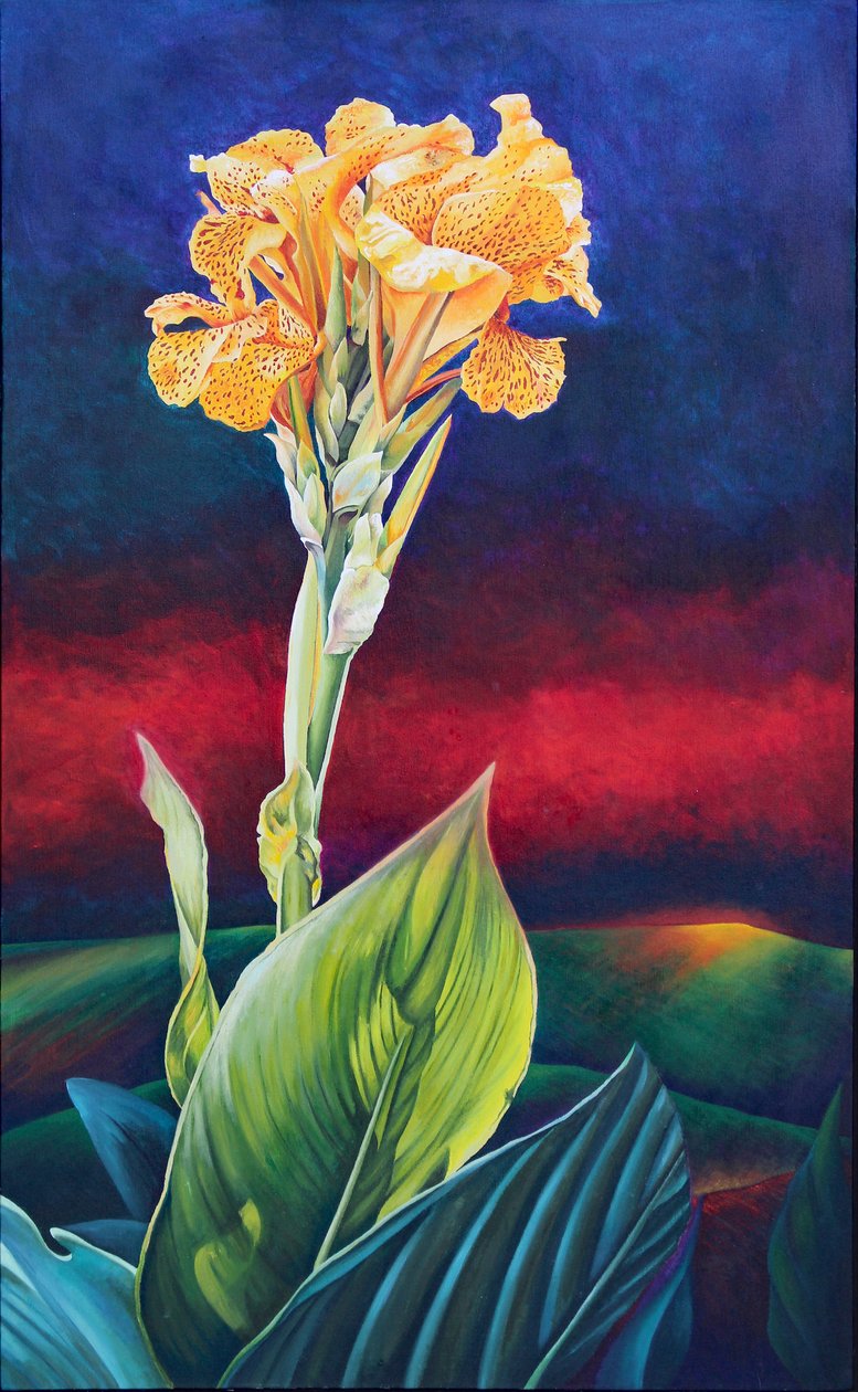 Caña amarilla de Frances Ferdinands