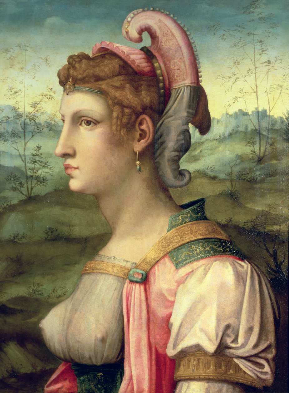 Sibila, c.1540 de Francesco Ubertini Verdi Bachiacca