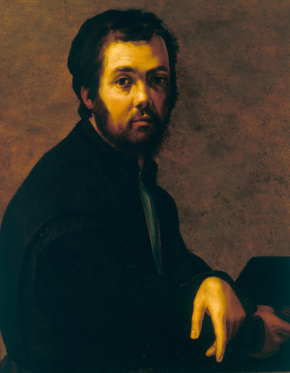 Retrato de un hombre de Francesco de Rossi Salviati Cecchino