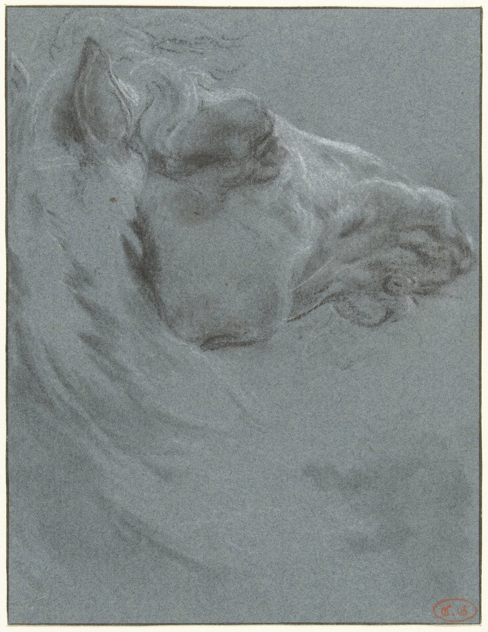 Cabeza de caballo de Francesco Giuseppe Casanova