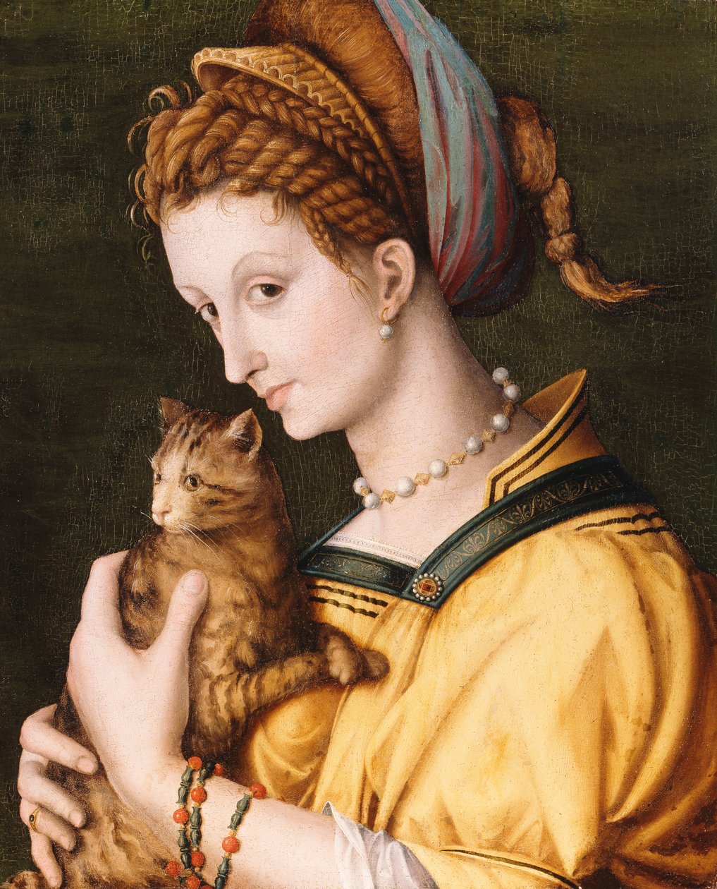 Dama con un gato de Francesco Ubertini Bacchiacca