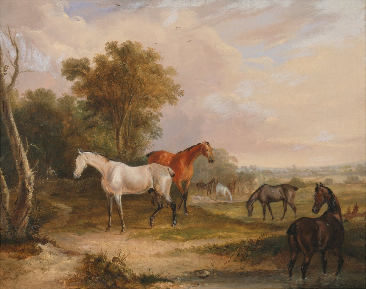 Caballos pastando- un semental gris pastando con yeguas en un prado de Francis Calcraft Turner