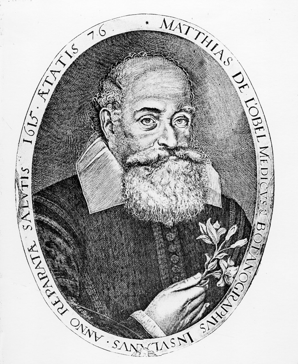 Matthias de l