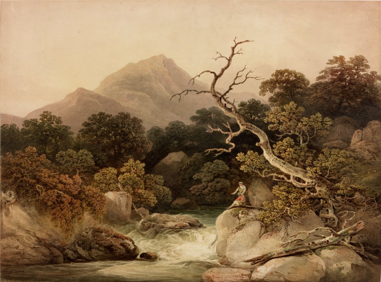 Ben Venue de Francis Nicholson