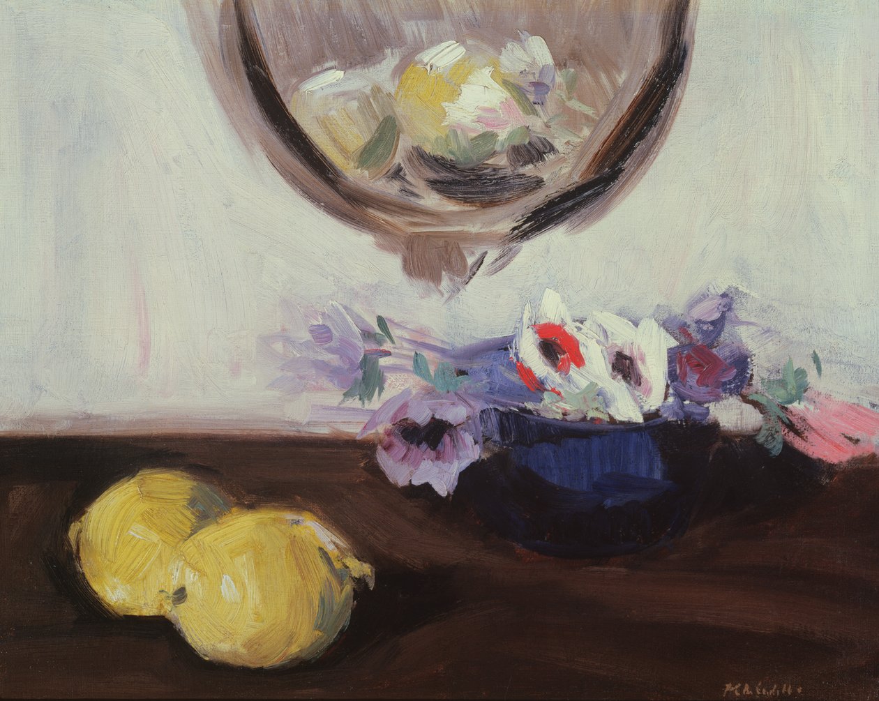 Anémonas y limones de Francis Campbell Boileau Cadell