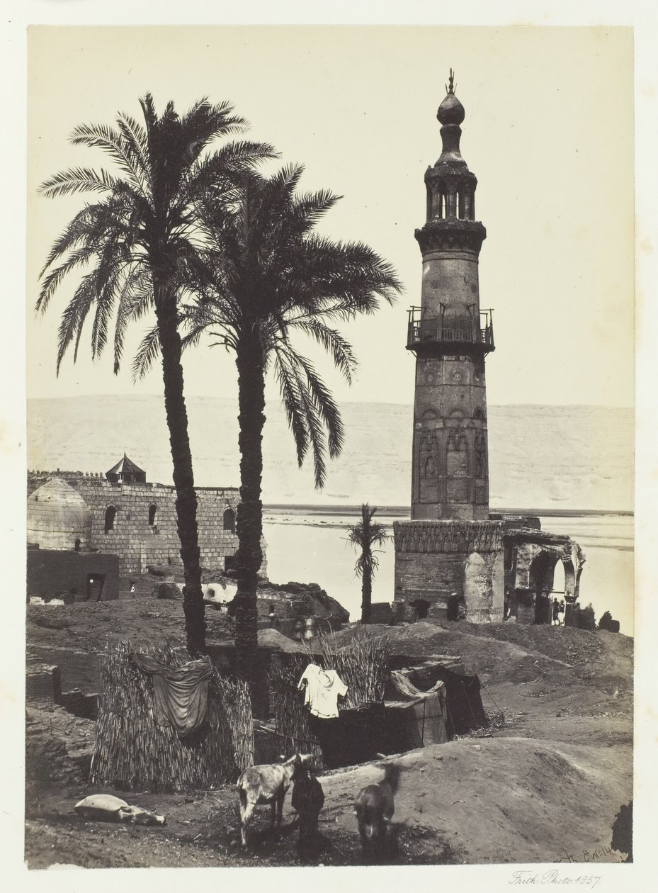 Vista en Girgeh, Alto Egipto de Francis Frith