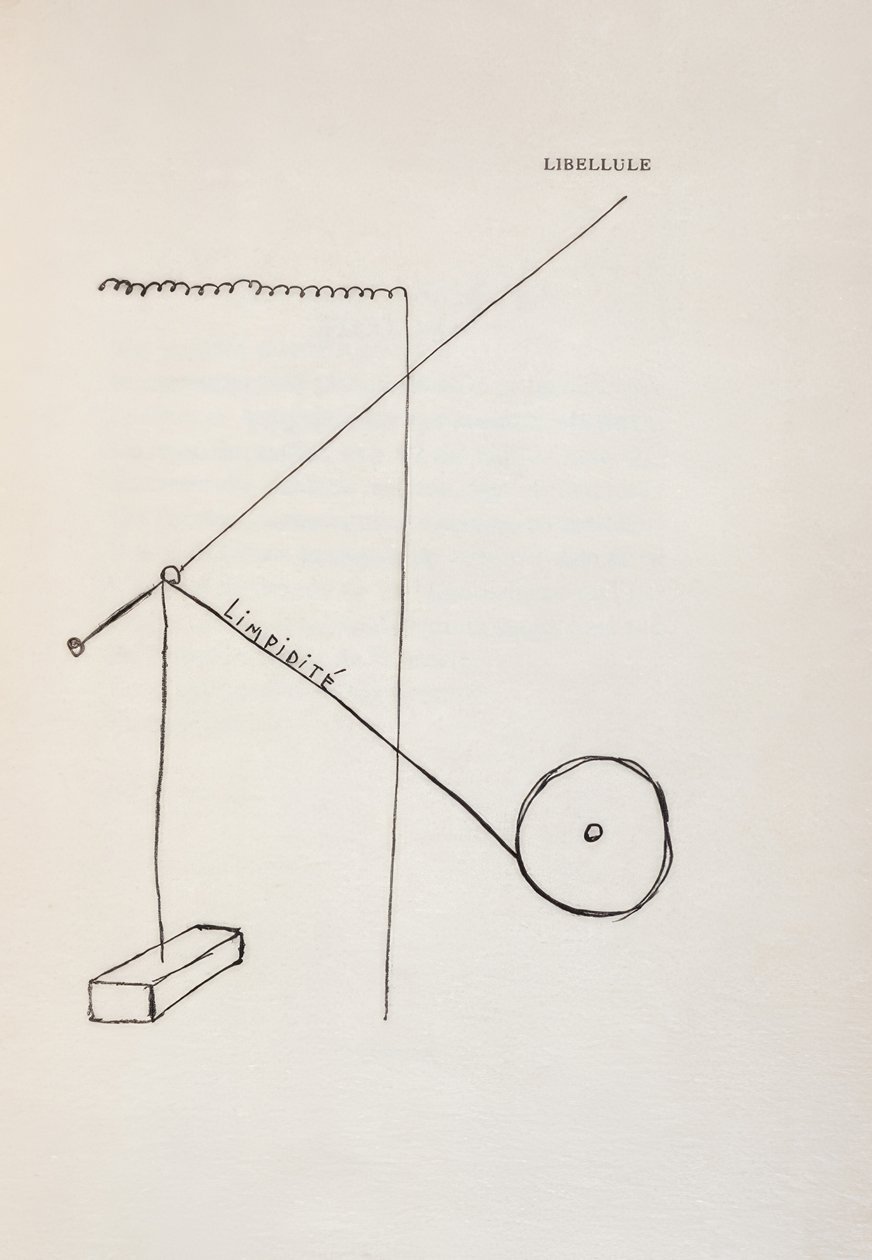 Libélula de Francis Picabia