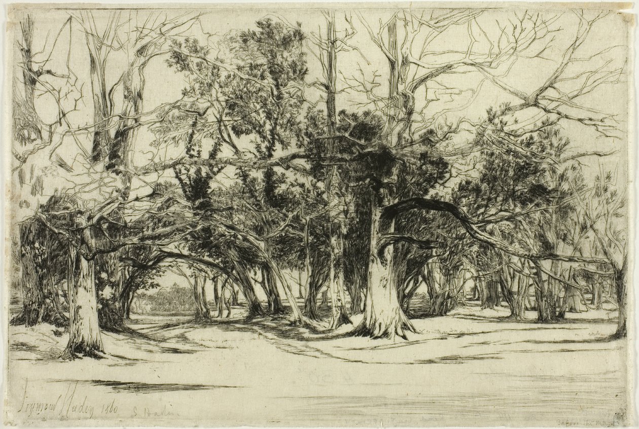 Un camino secundario en Tipperary de Francis Seymour Haden
