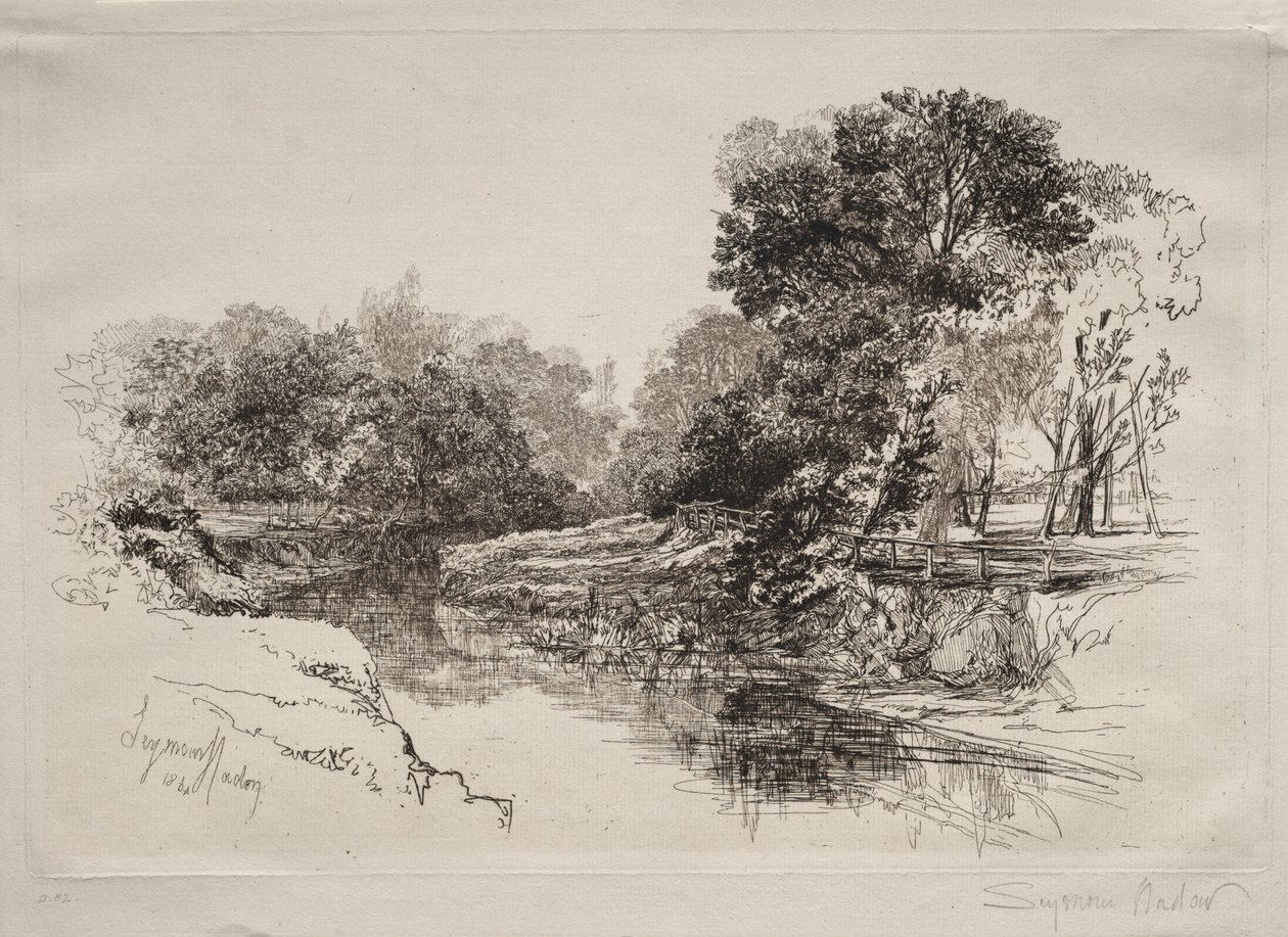 Un río en Irlanda de Francis Seymour Haden