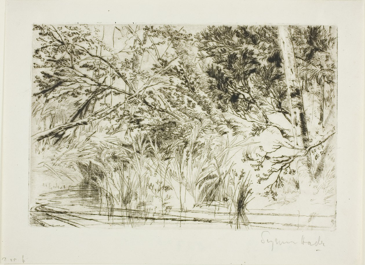 Boca de un arroyo, No. II de Francis Seymour Haden