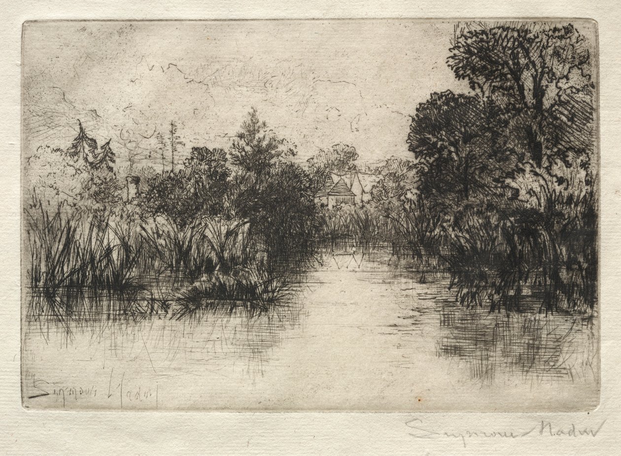 Shere Mill Pond (detalle) de Francis Seymour Haden