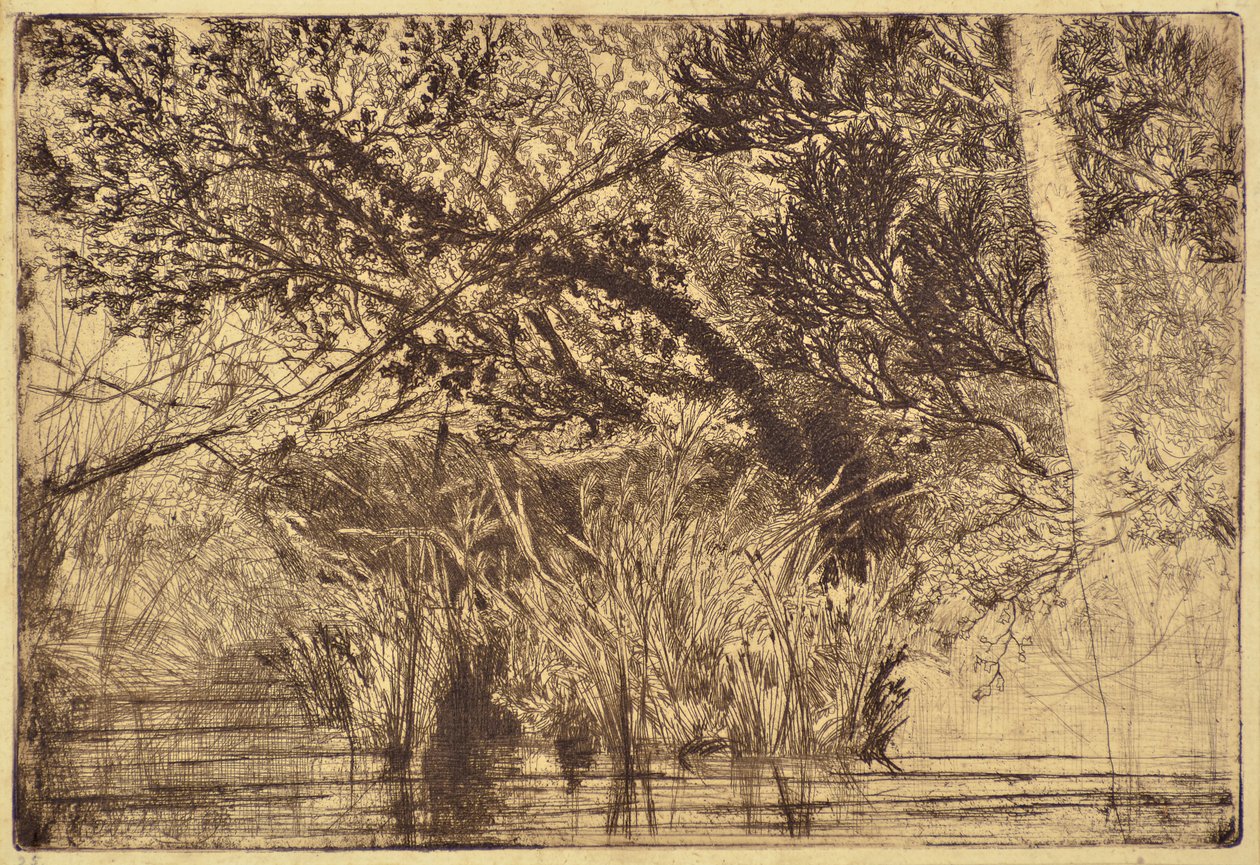 La boca de un arroyo No.1 de Francis Seymour Haden