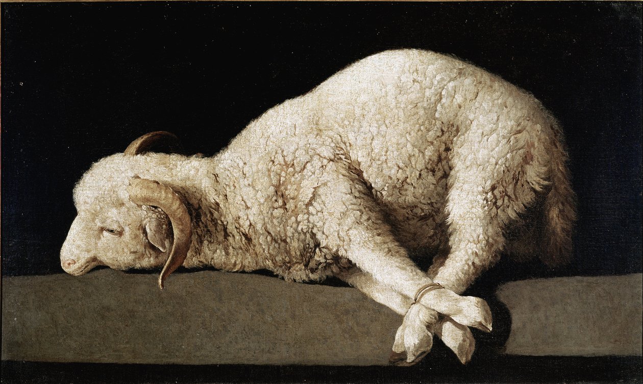 Agnus Dei de Francisco de Zurbaran