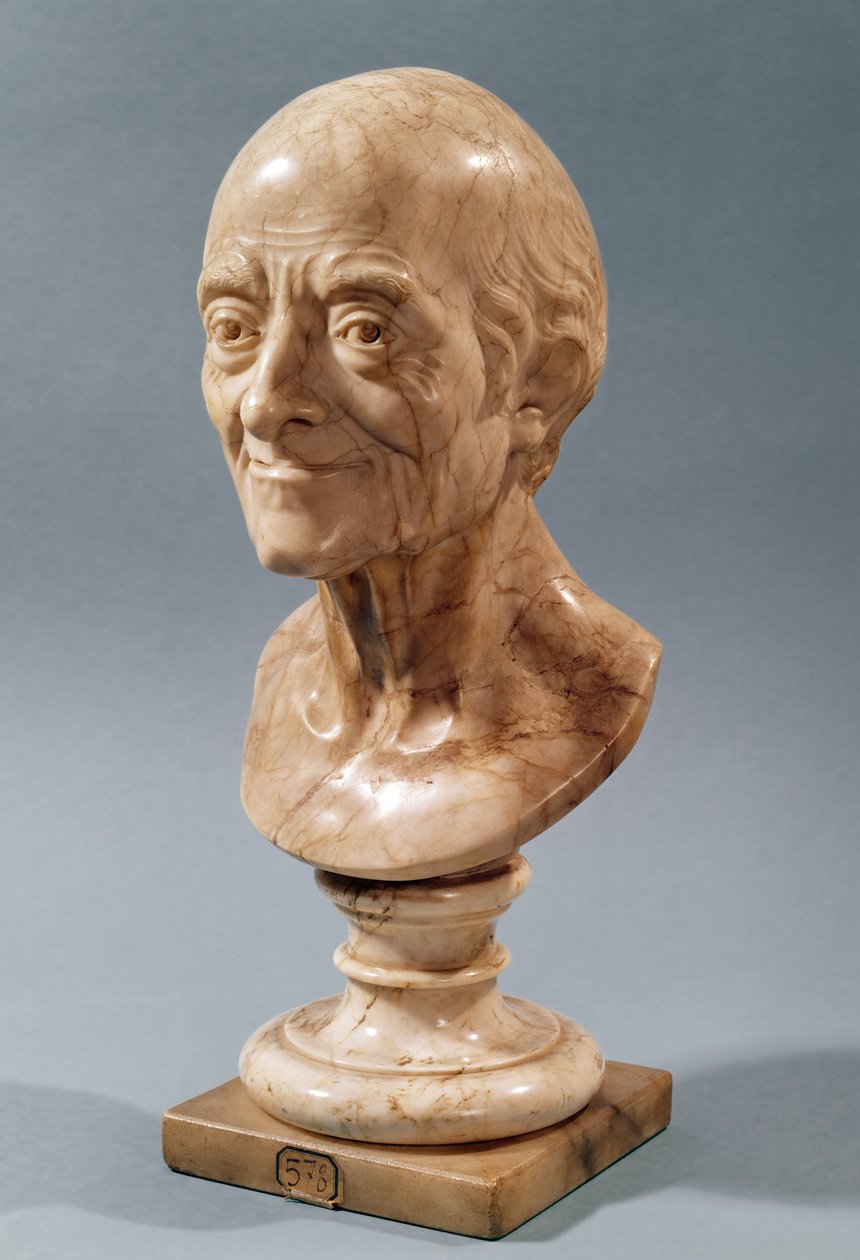 Busto de Voltaire (1694-1778) de Francois Marie Rosset