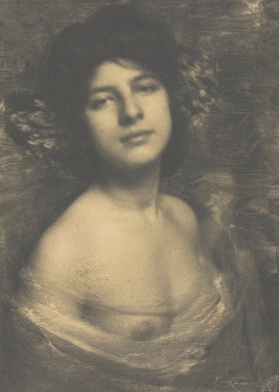 Hortensia de Frank Eugene
