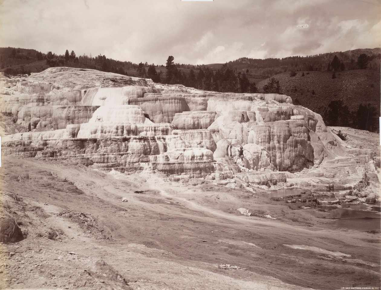 Terraza Minerva, Mammoth Hot Springs de Frank Jay Haynes