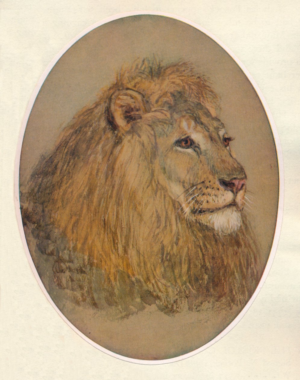 Cabeza de león, c1896 de Frank Paton