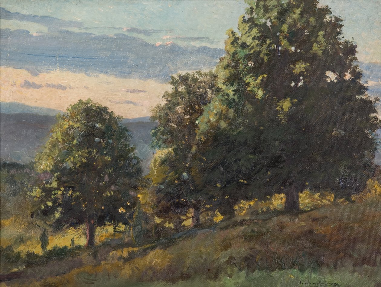 Paisaje de Frank Von der Lancken