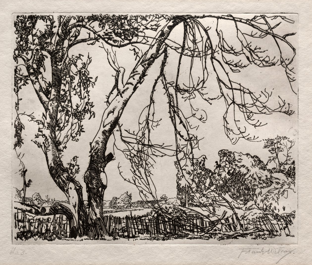 Manzano de Frank Wilcox