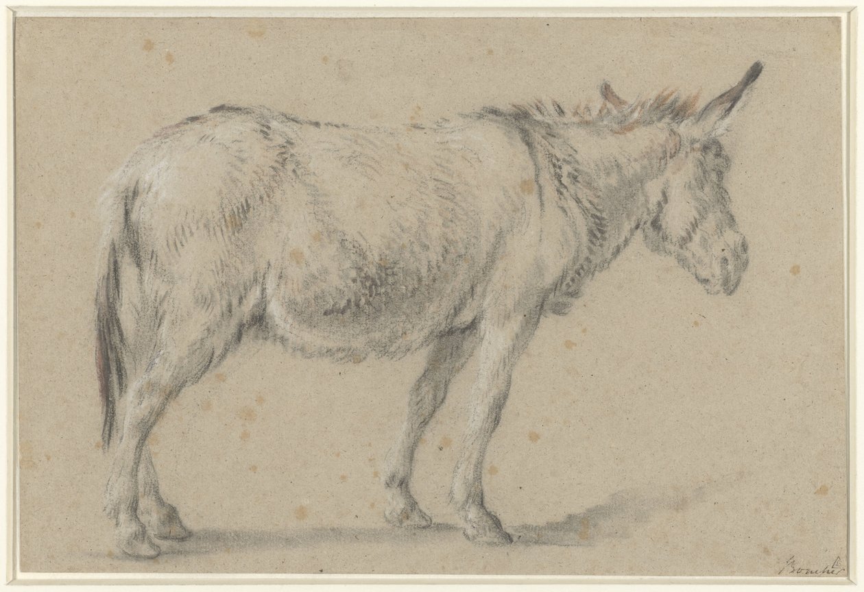 Burro de pie, a la derecha de François Boucher (possibly)