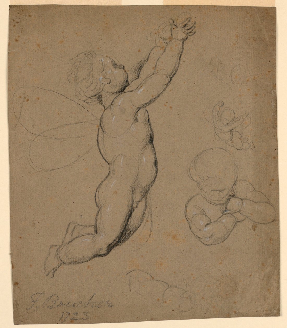 Estudios de putti de François Boucher