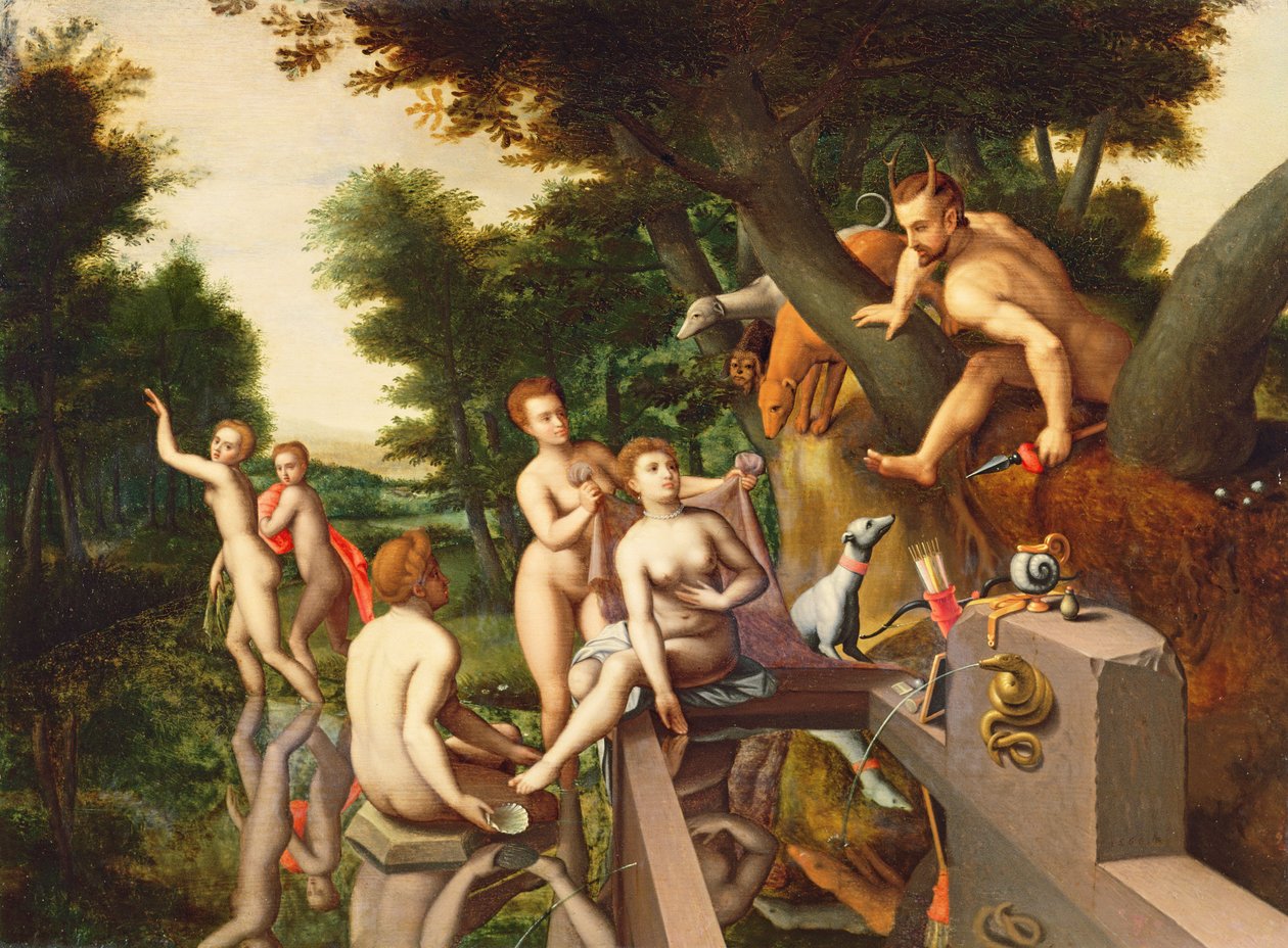 Imagen desconocida de François Clouet