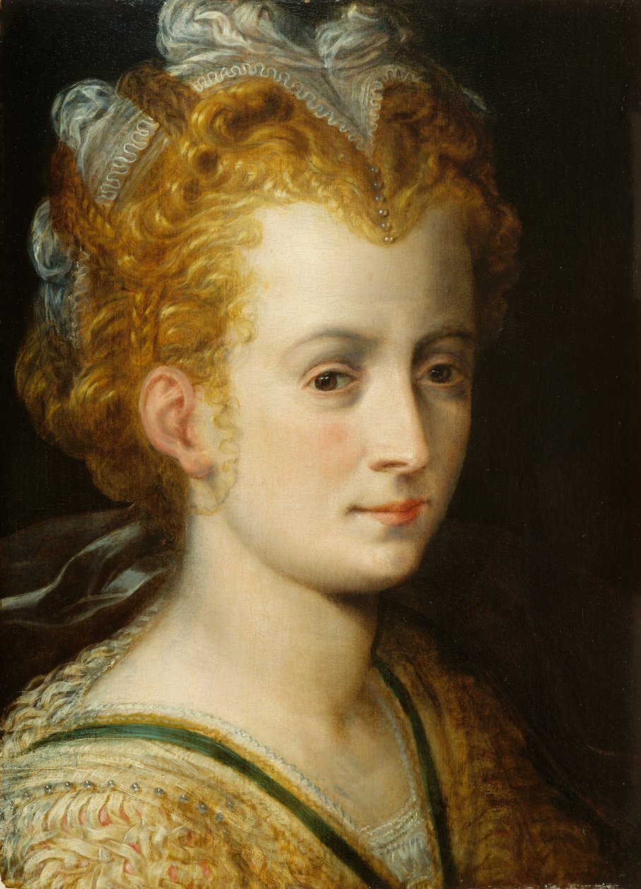 Cabeza de una Mujer Joven, c.1555 de Frans Floris