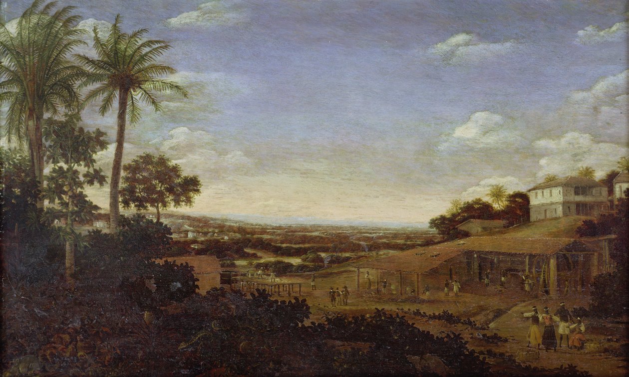 Imagen desconocida de Frans Post