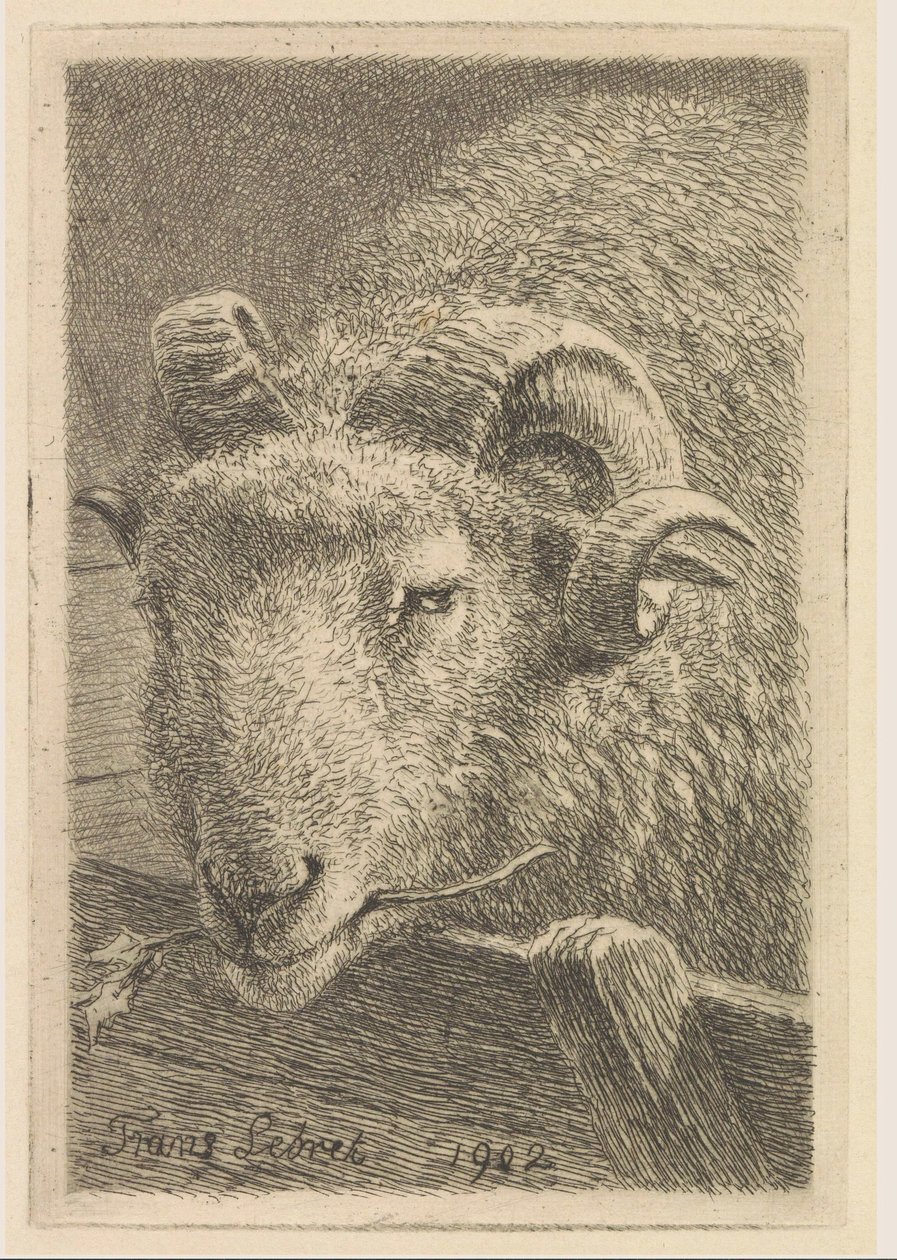 Cabeza de carnero de Frans Lebret