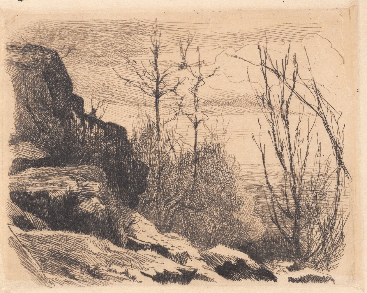 Placa de prueba: Paisaje con rocas y árboles de Frans Schwartz